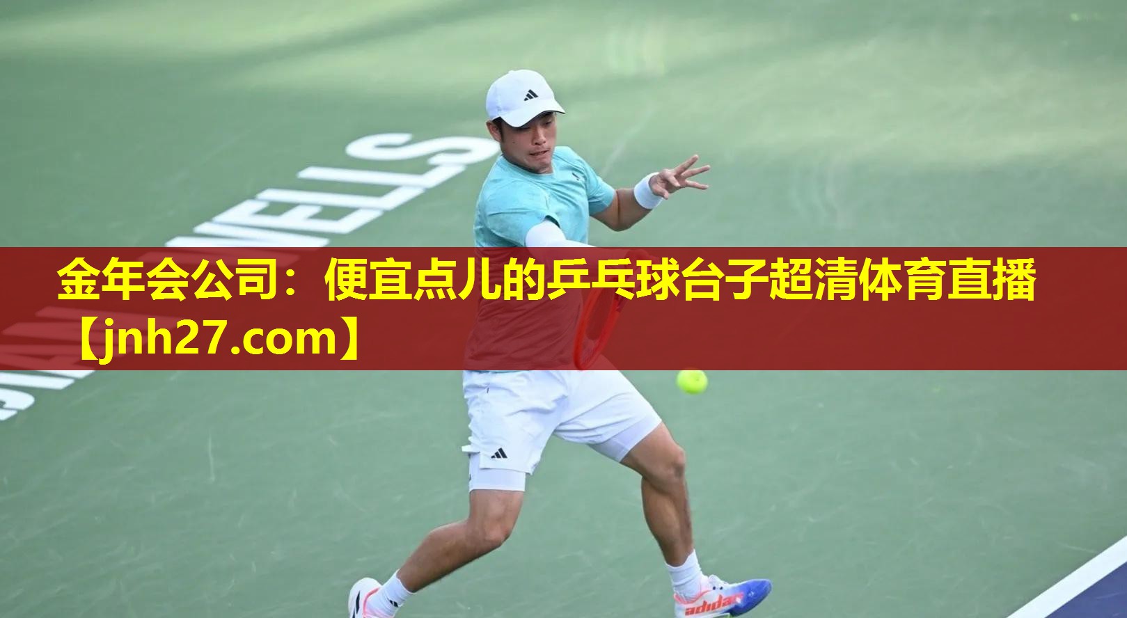 金年会公司：便宜点儿的乒乓球台子超清体育直播