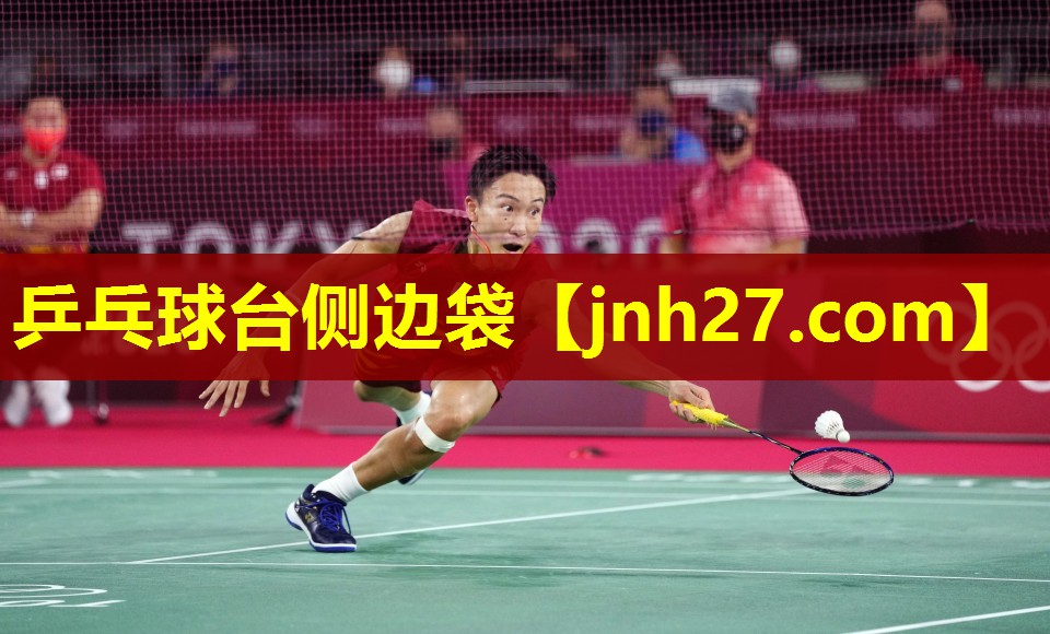 乒乓球台侧边袋