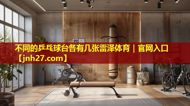 不同的乒乓球台各有几张雷泽体育｜官网入口