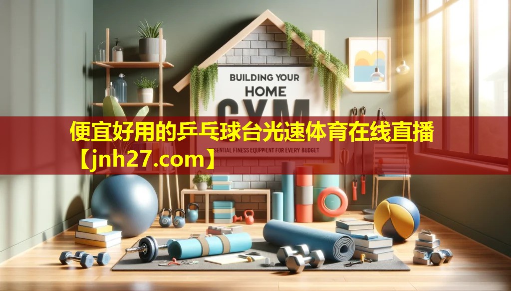 便宜好用的乒乓球台光速体育在线直播