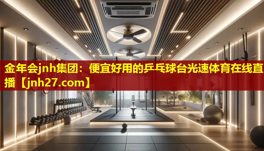 金年会jnh集团：便宜好用的乒乓球台光速体育在线直播