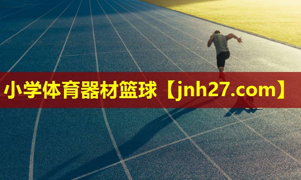 小学体育器材篮球