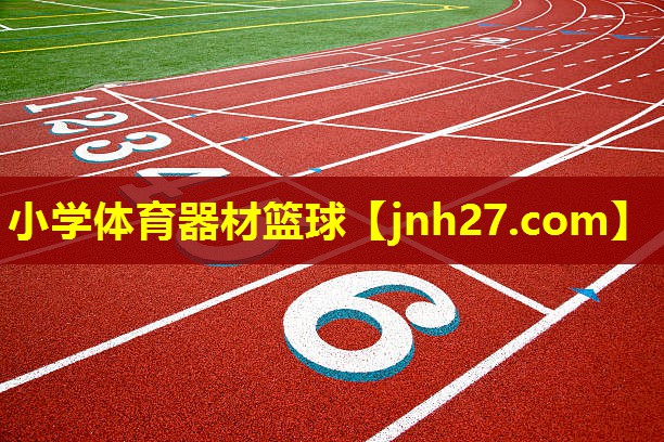 小学体育器材篮球