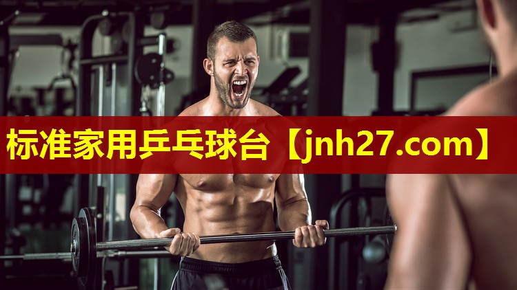 标准家用乒乓球台